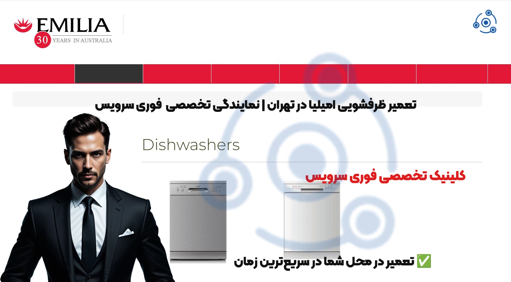 تعمیر ظرفشویی امیلیا در تهران